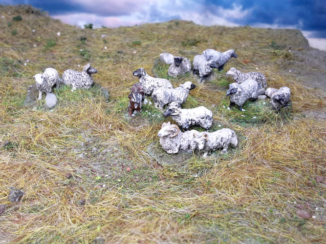 Farmtiere