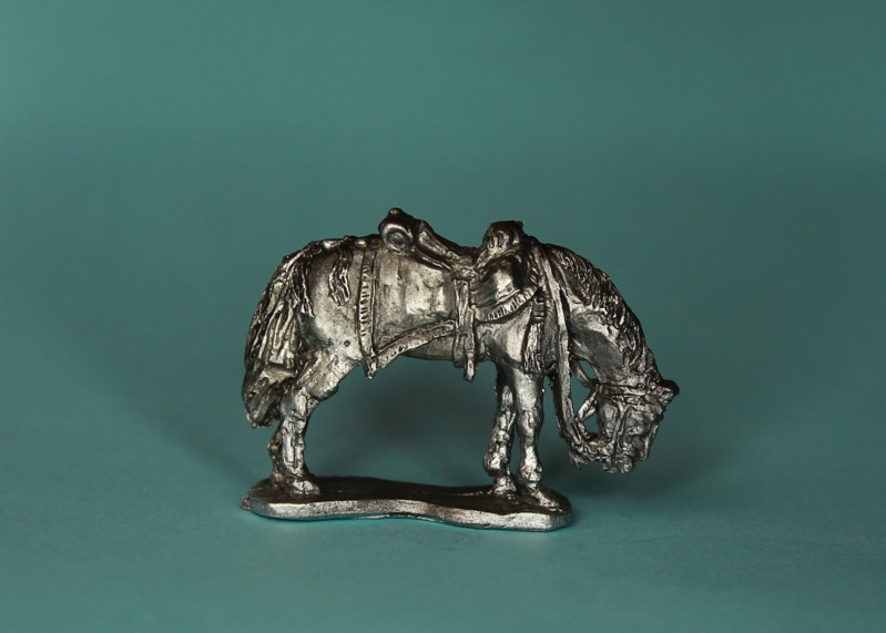 Polnischer Aide de Camp (1810 - 1814)