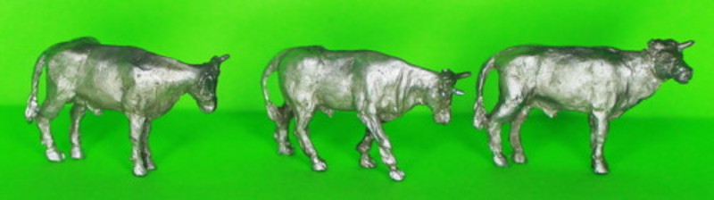 Ochsen - Chianina