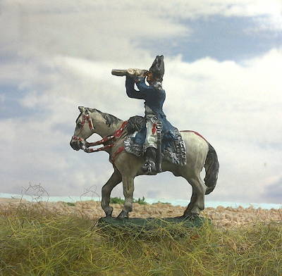 Polnischer Brigadegeneral im Sortut (1810 - 1813)