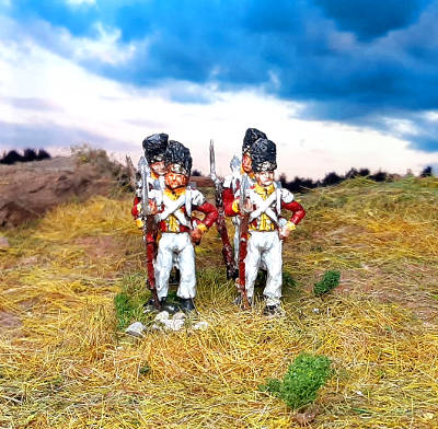 1810 -1813: Königreich Sachsen - Leib-Grenadier-Garde (mit Bärenfellmütze)